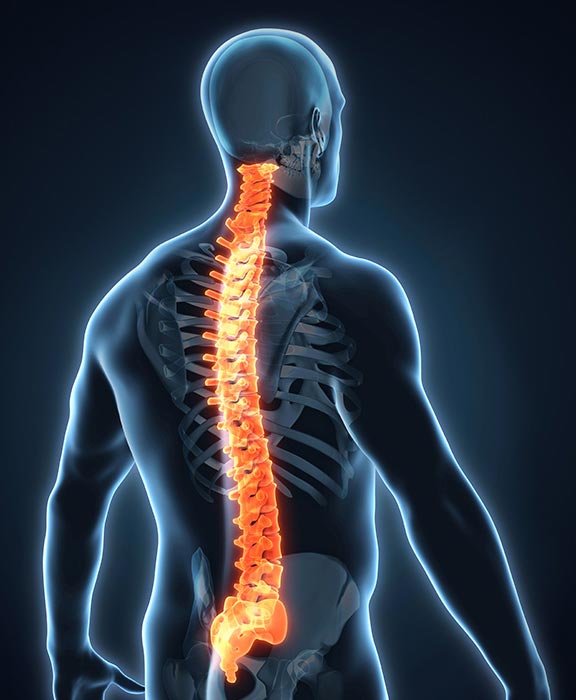 Spine Surgery Department Spine Surgery Department