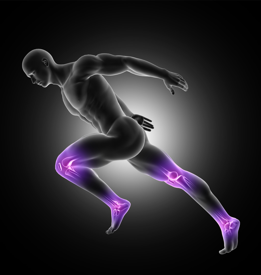 Healthy Joints vs. Arthritic Joints